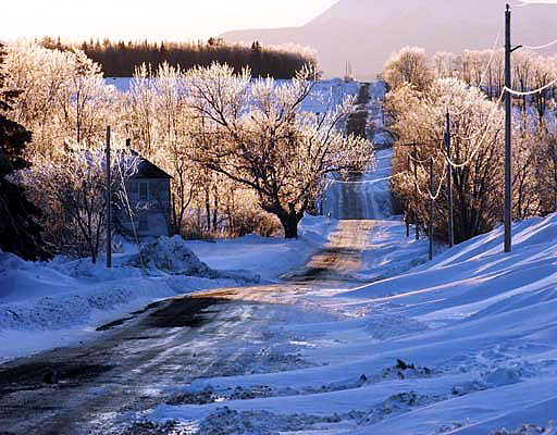 maine street in winter